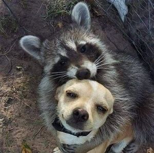 Meet your Posher, Alejo alejo alejo